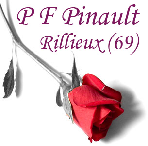 Photo 624434